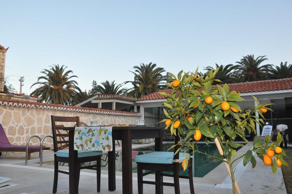 אלאקאטי Bellapietra Hotel מראה חיצוני תמונה