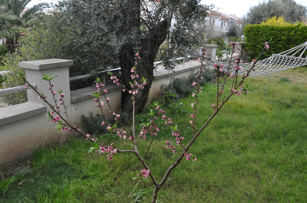 אלאקאטי Bellapietra Hotel מראה חיצוני תמונה